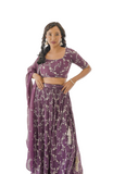 Regal Wine Lehenga Set – SNT-LV005