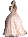 Jovani Blush Embellished Bodice Glitter Prom Ballgown