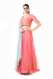 Embroidered Peach Net Lehenga Set With Blue Dupatta